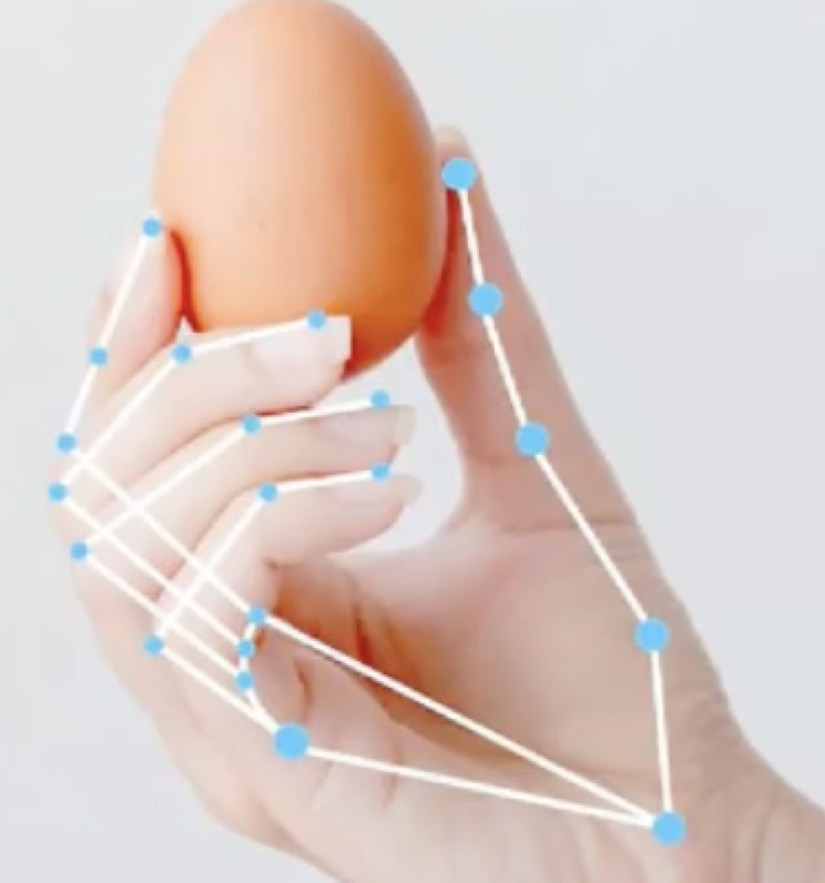 Video Gesture Recognition Demo